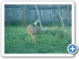DEER 2010 (13)