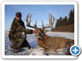 Scored 231in